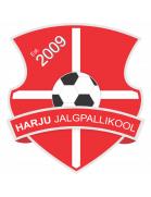 哈留足球学院logo